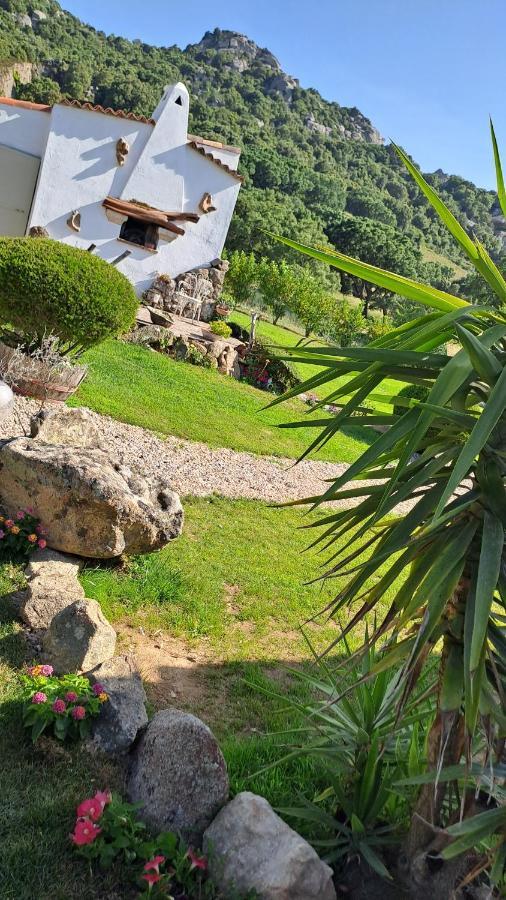 B&B La Chintina Sant'Antonio di Gallura Buitenkant foto
